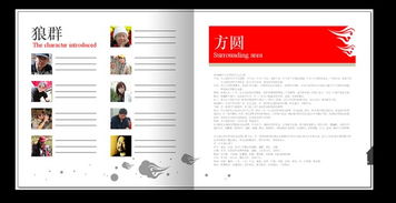 中國(guó)文化味畫(huà)冊(cè)設(shè)計(jì) 廣告公司作品 佳作欣賞
